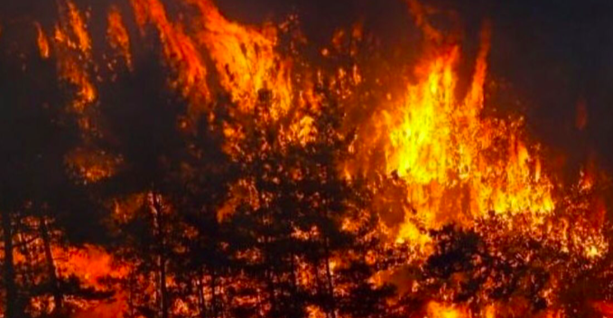 Orman Yangınları İçin Acil Önlem Çağrısı ! Orman Yangınları İçin Acil Önlem Çağrısı ! sep% BSHA
